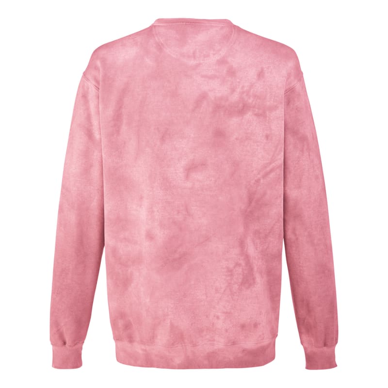 Comfort Colors Adult Color Blast Crewneck Sweatshirt 23