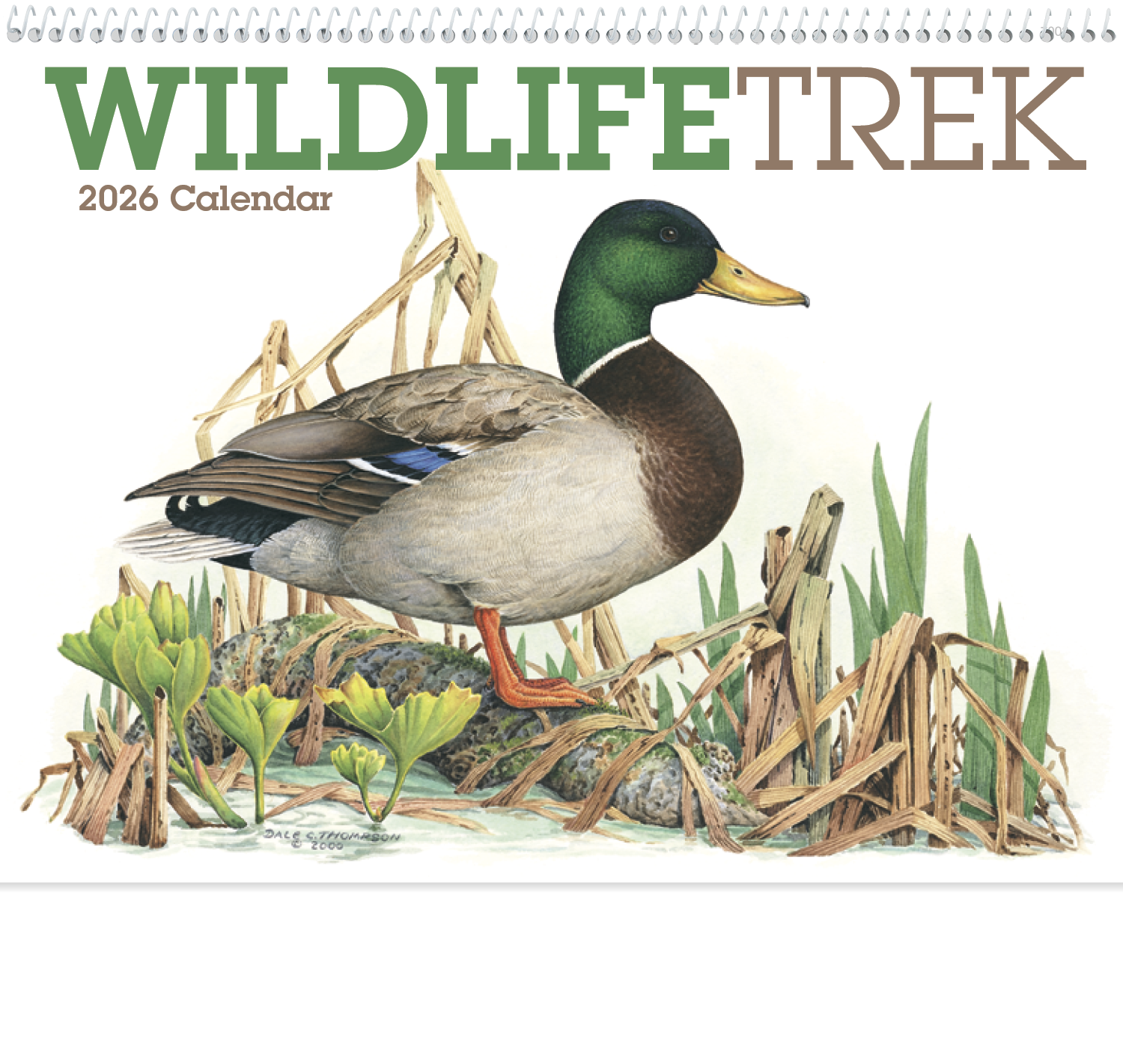 Good Value™ Wildlife Trek - Spiral Calendar 4