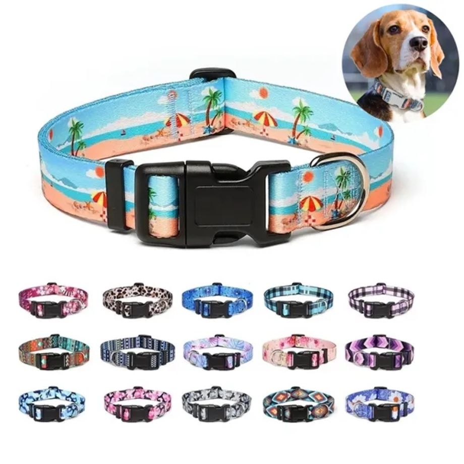 Promotional Full Color Pet Collar 3