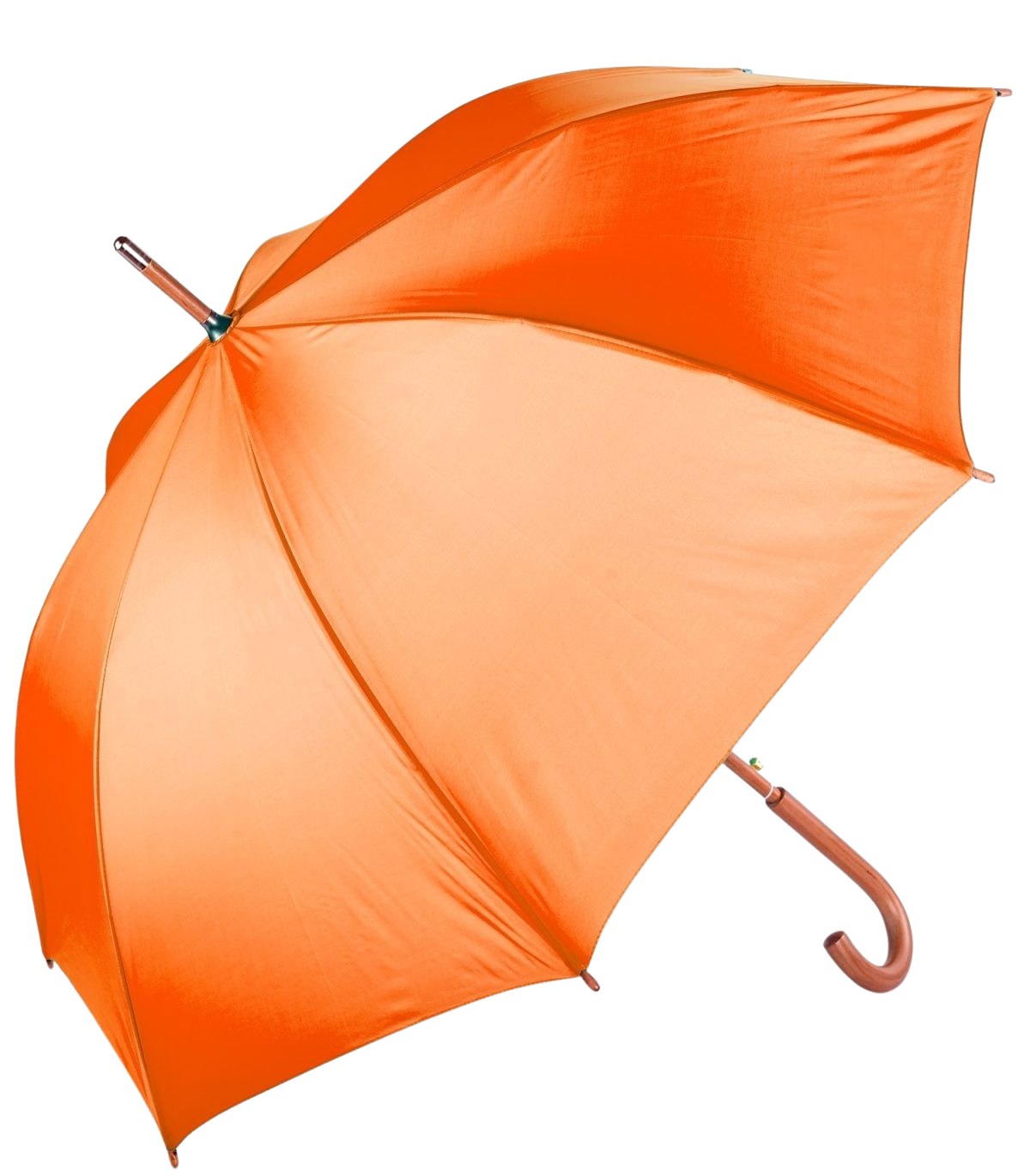 The Hotel Umbrella 3