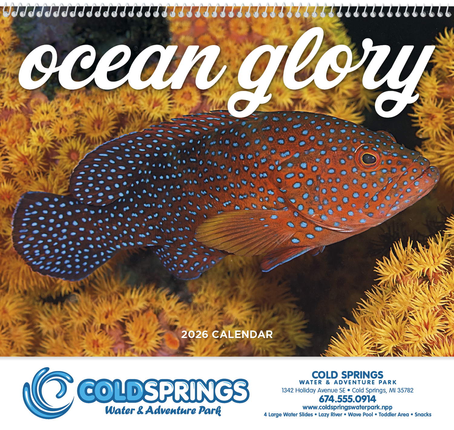 Good Value™ Ocean Glory - Spiral Calendar 52