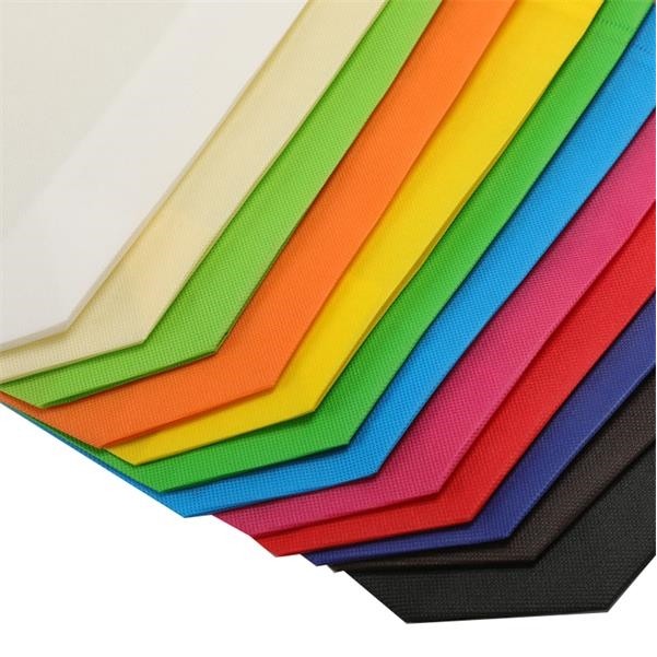 Reusable Non Woven Party Bag 1