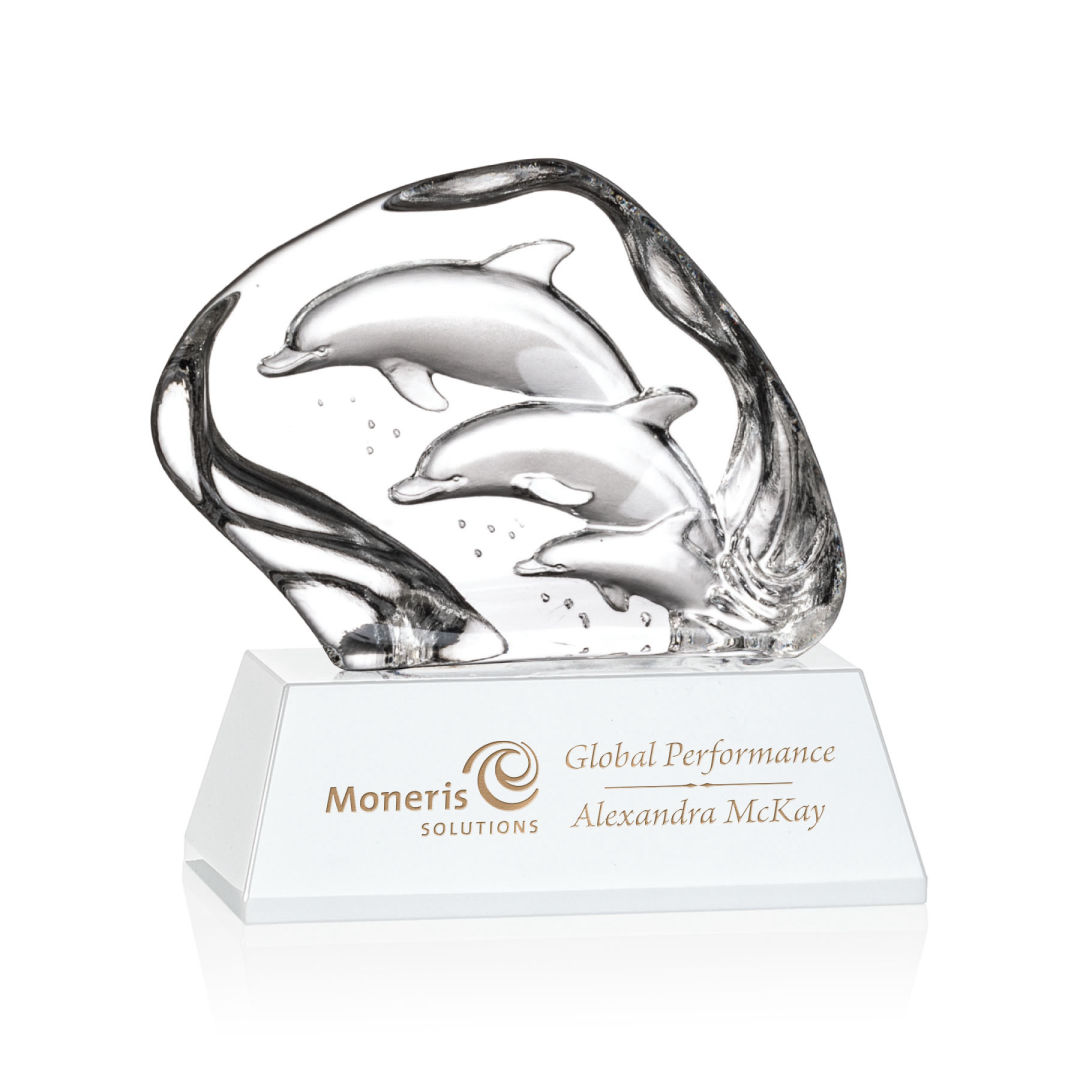 Ottavia 3 Dolphins Award 23
