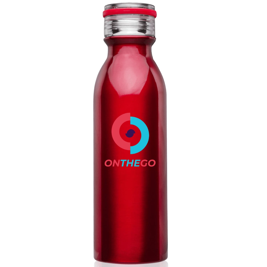 Stainless Steel Water Bottle - Double Wall Vacuum 12