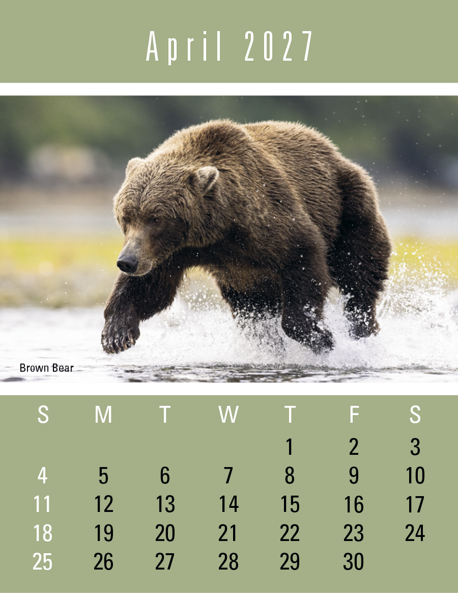 Triumph® Calendars Press-N-Stick Sportsmen Calendar 952