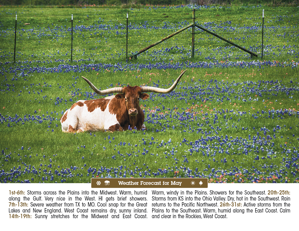 Triumph® Calendars Scenic Almanac 32