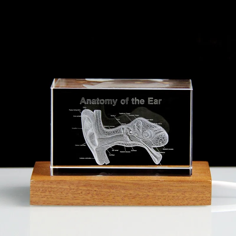 Custom 3D Crystal Photo with LED Light Base 7