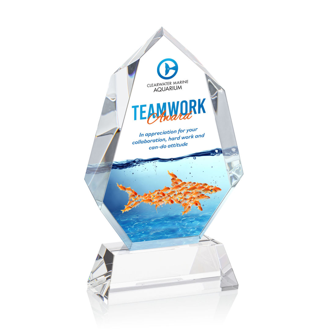 Norwood VividPrint™ Award on Newhaven Base - Clear 3