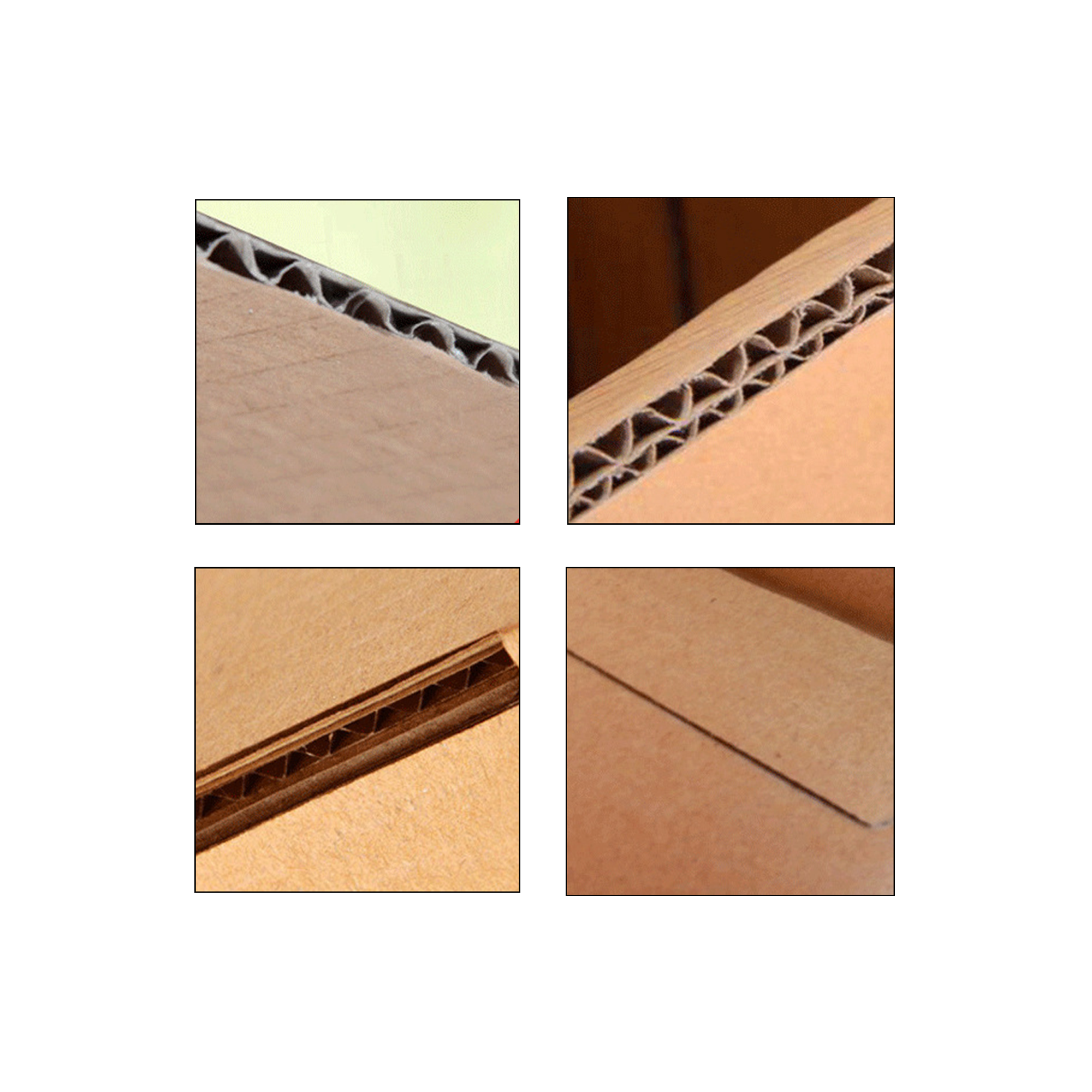 Custom Pizza Box 4