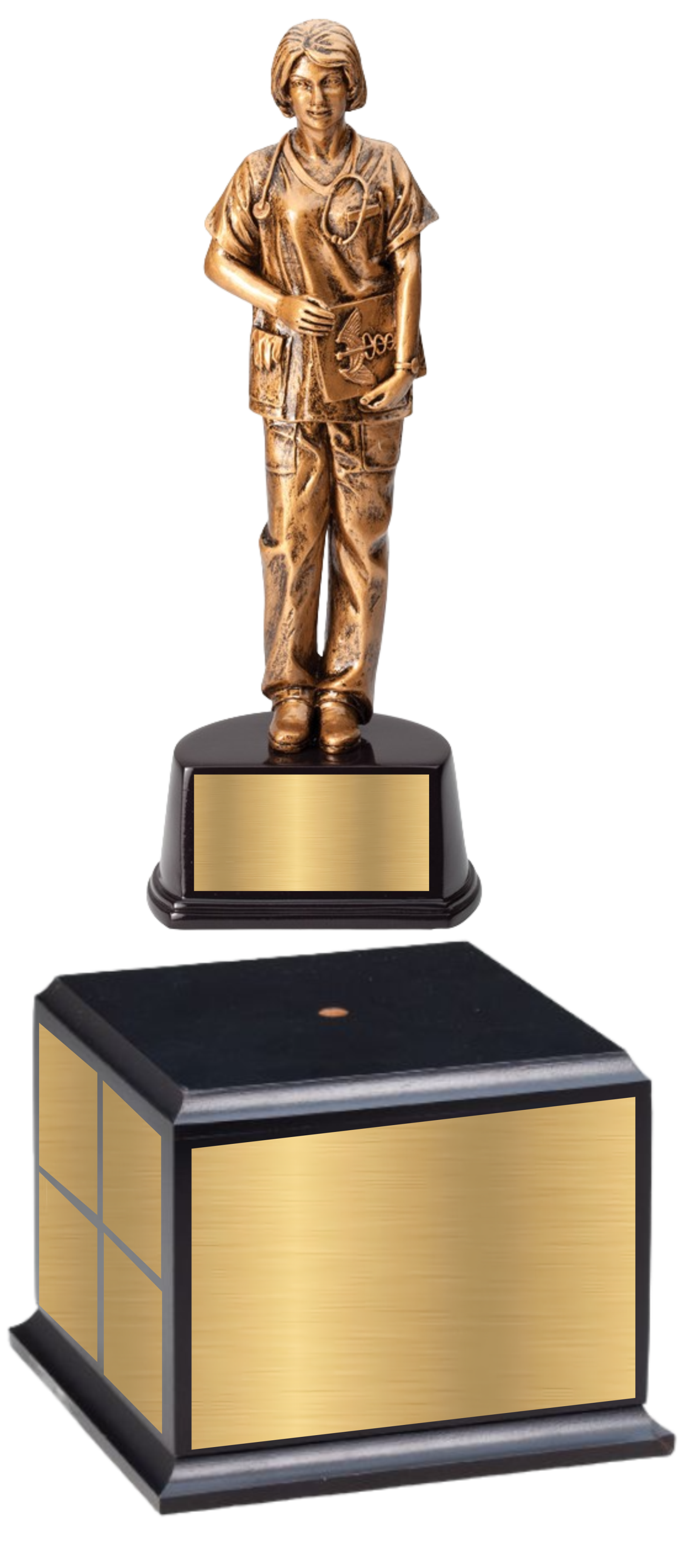 10" Premium Gallery Sculpture Golden American Hero Nurse Trophy Award 8