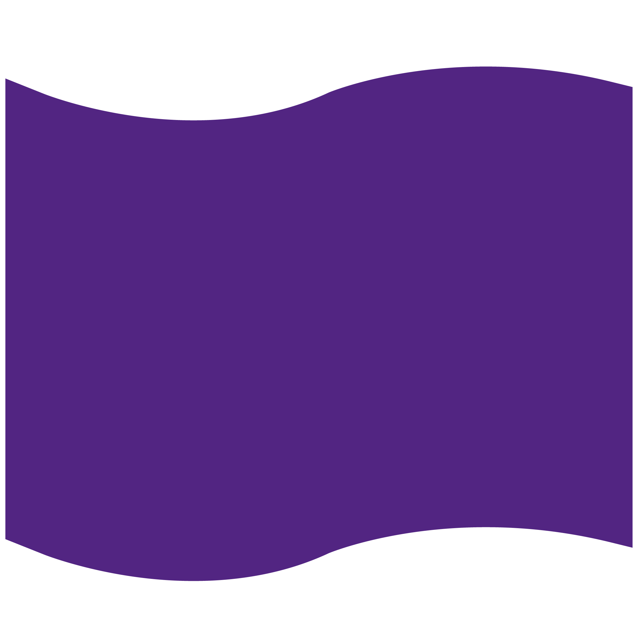 Foam Flag Mitt 20