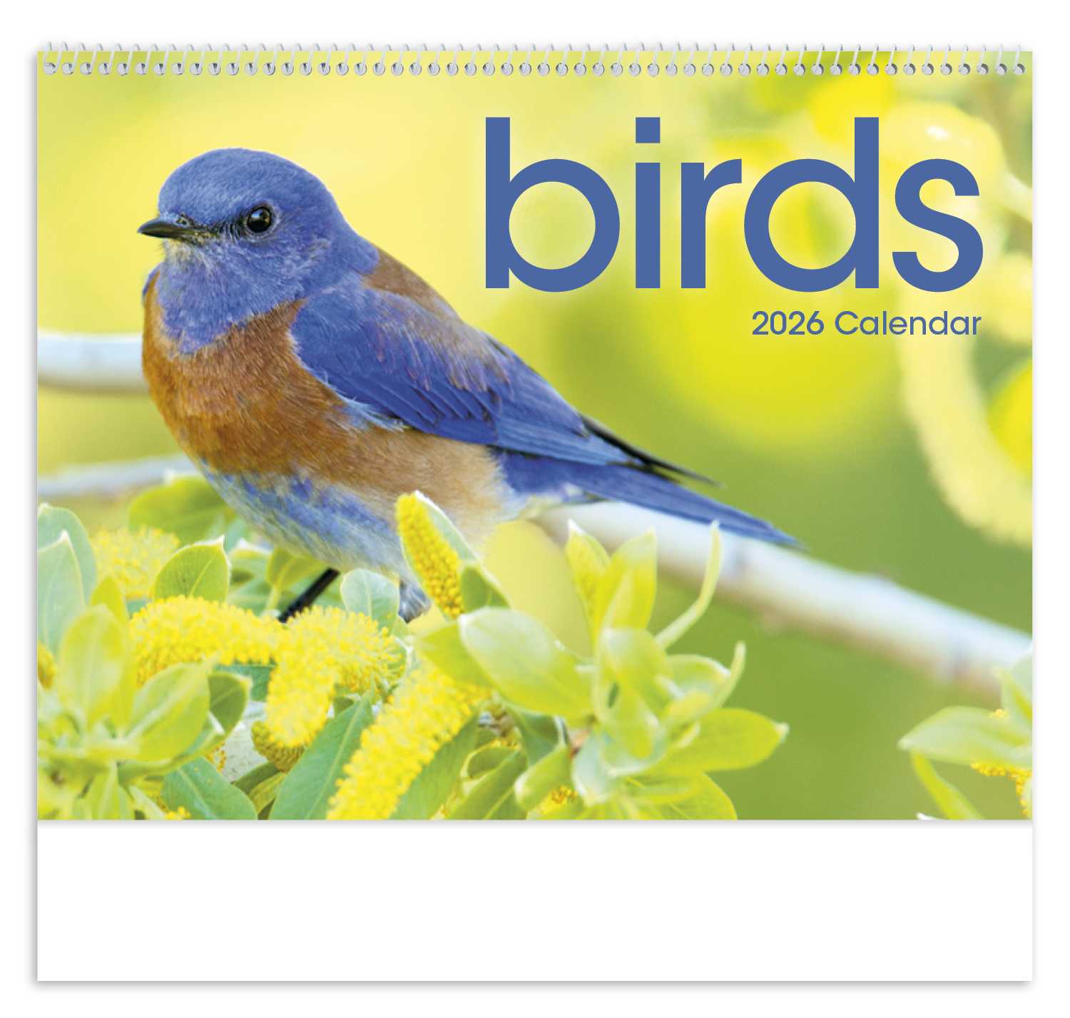 Triumph® Calendars Birds Calendar 7