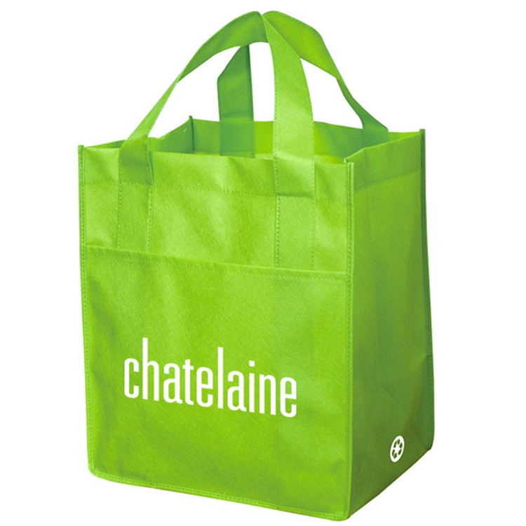 Non Woven Carry All Bag 12