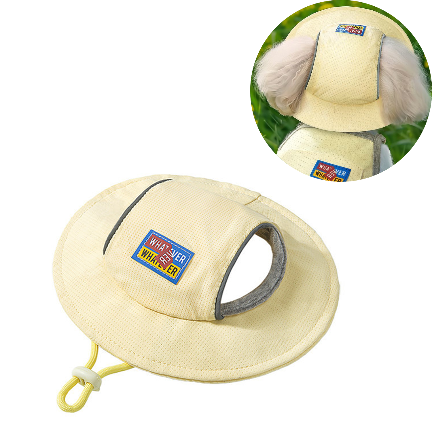 Pet Leaky Hat 1