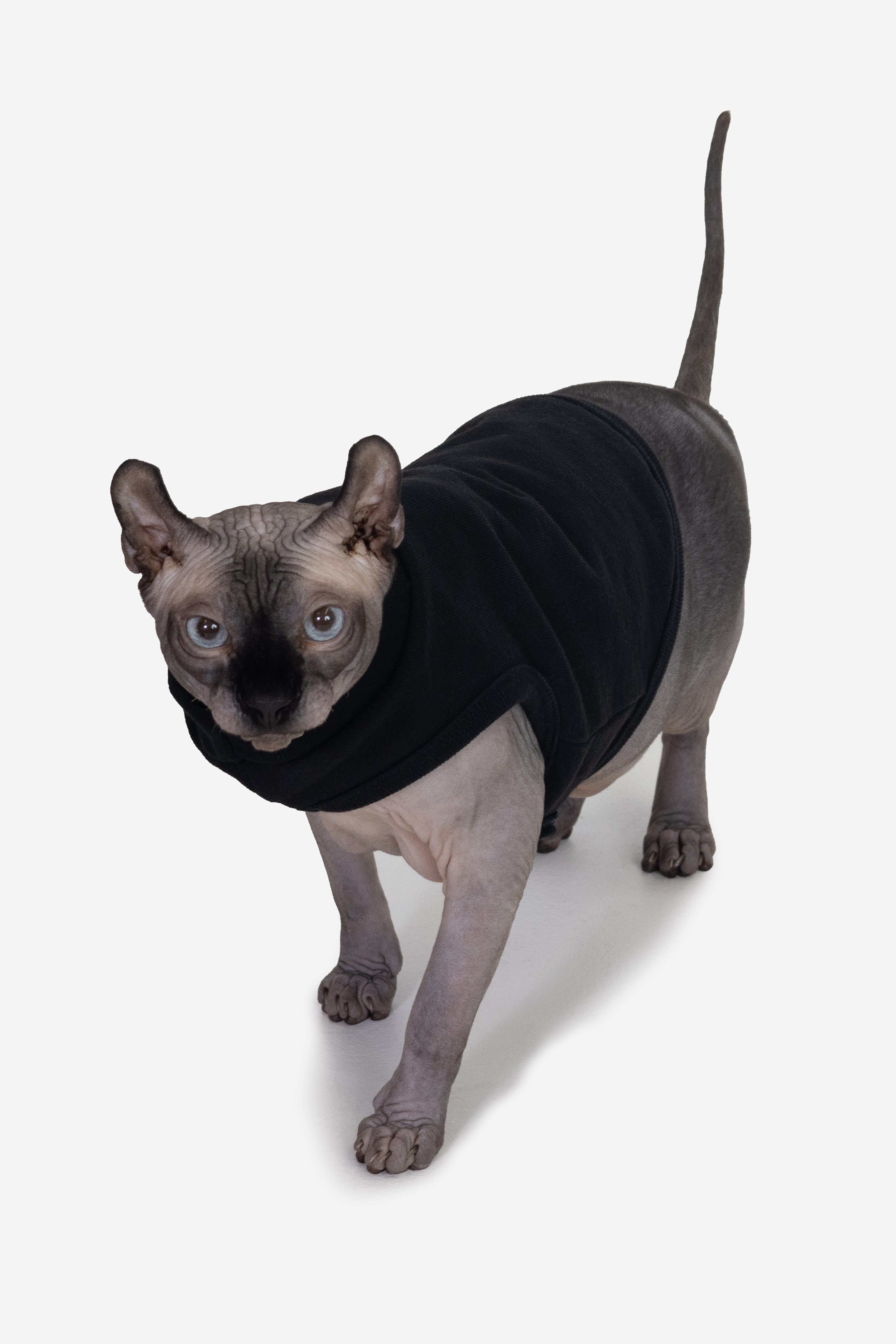 HEAVY FLEECE FLEECE DOG VEST 9