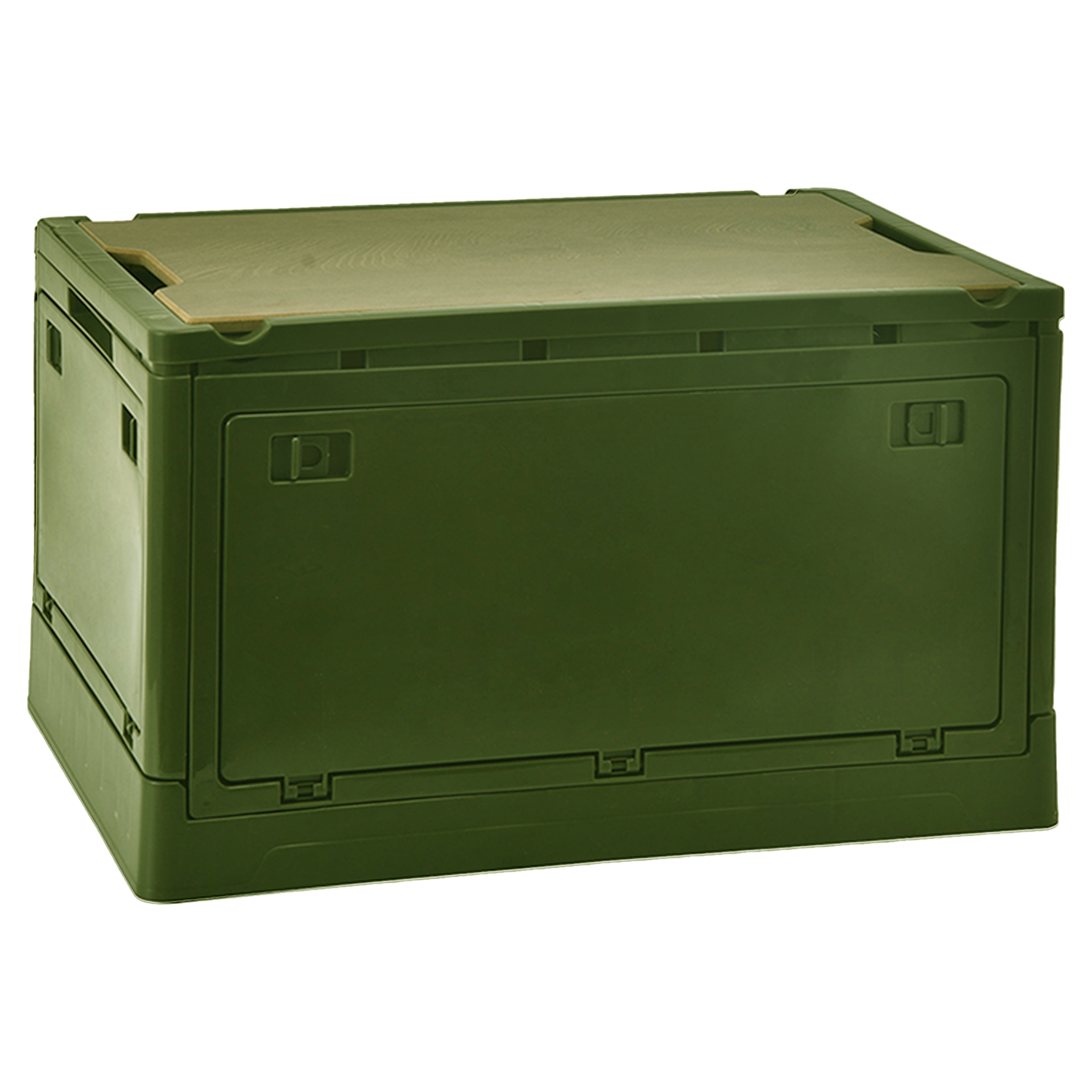 Plastic Trunk Storage Box 4