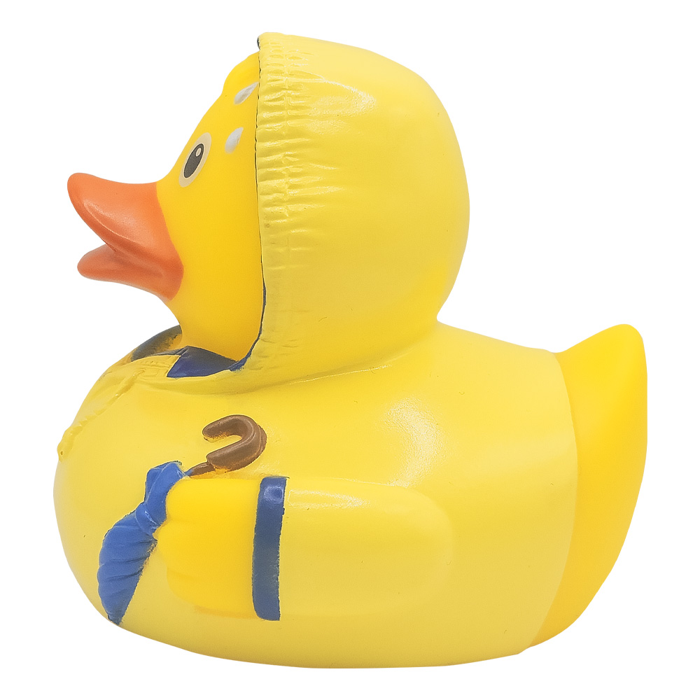 Bad Weather Duck 5