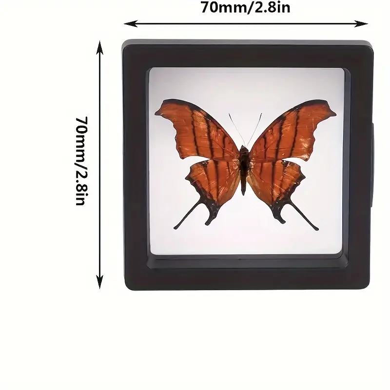 3D Floating Frame Plastic Jewelry Display Box 2