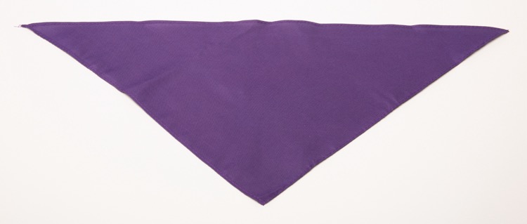 Personalized Small Purple Triangle Pet Bandana
