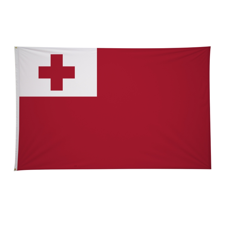 5' x 8' International Flags 134