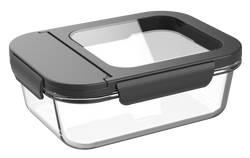 Glass Lunch Box 5