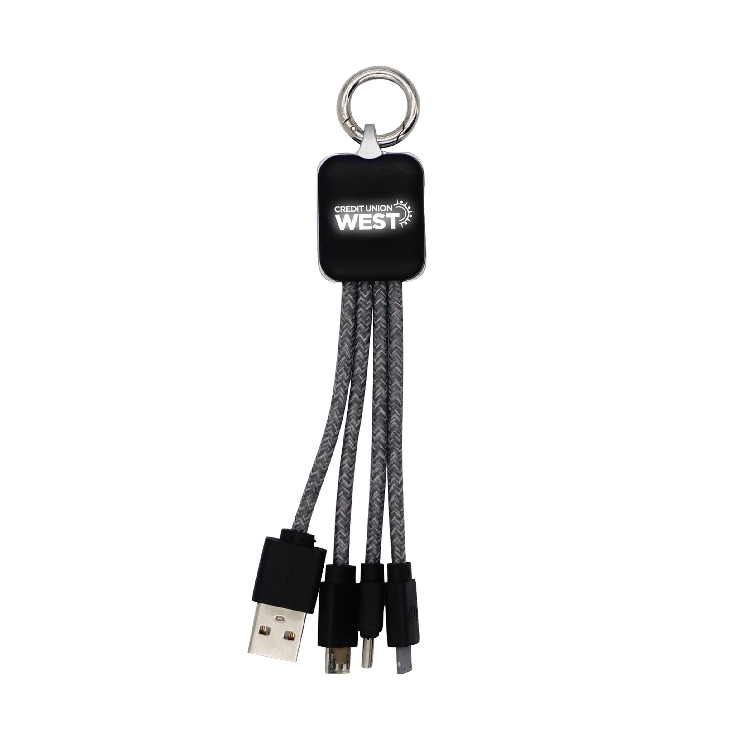 Ridge Logo Light Up Cable with Type C USB 16