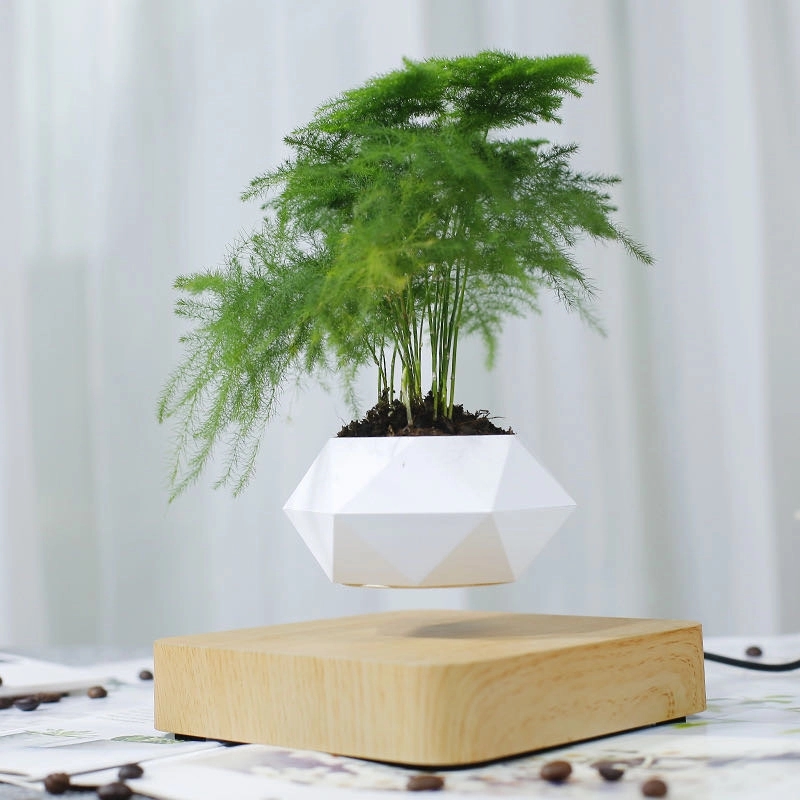 Magnetic Levitating Floating flower planter 6
