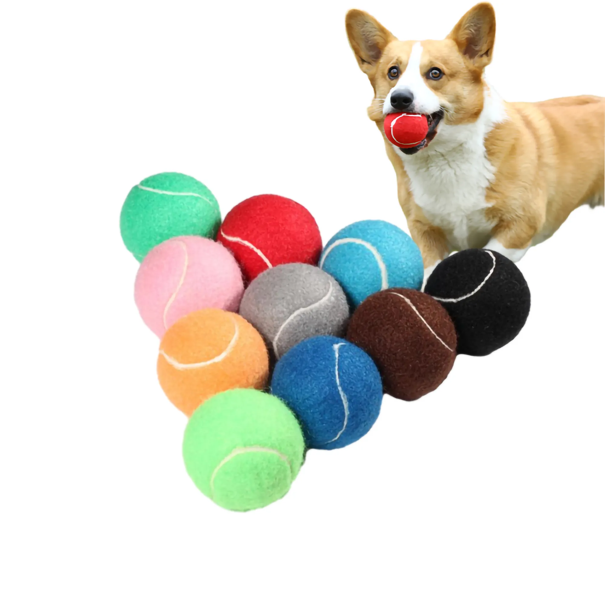 MOQ 50 Training Tennis Balls Pet Toy 1