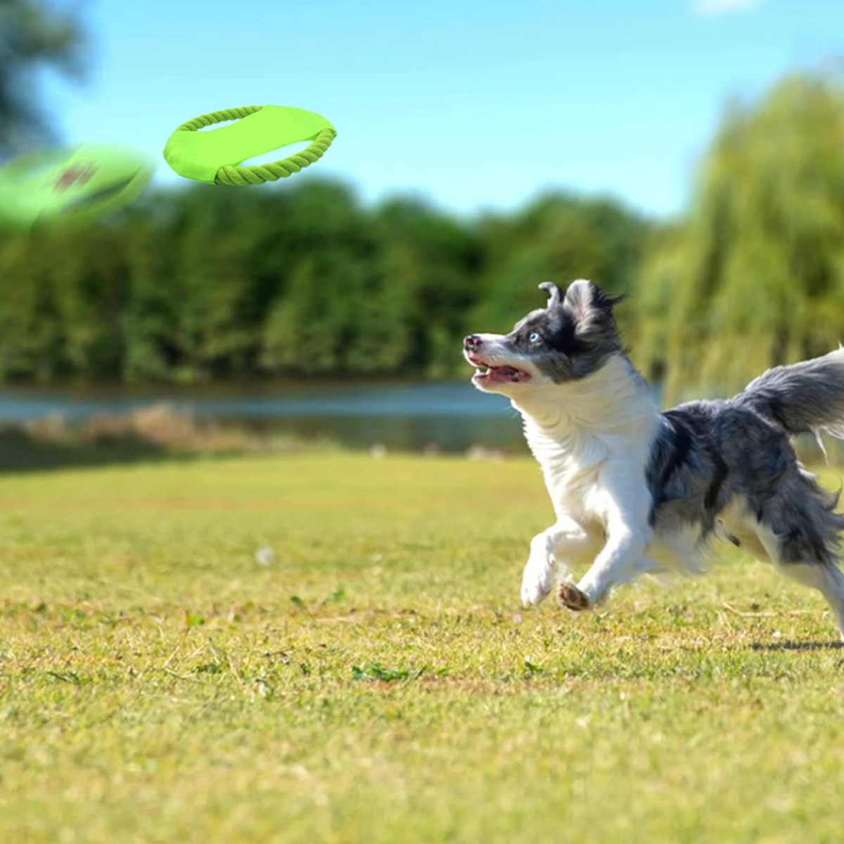 Rope Ring Dog Frisbee Toy with Durable Fabric 7
