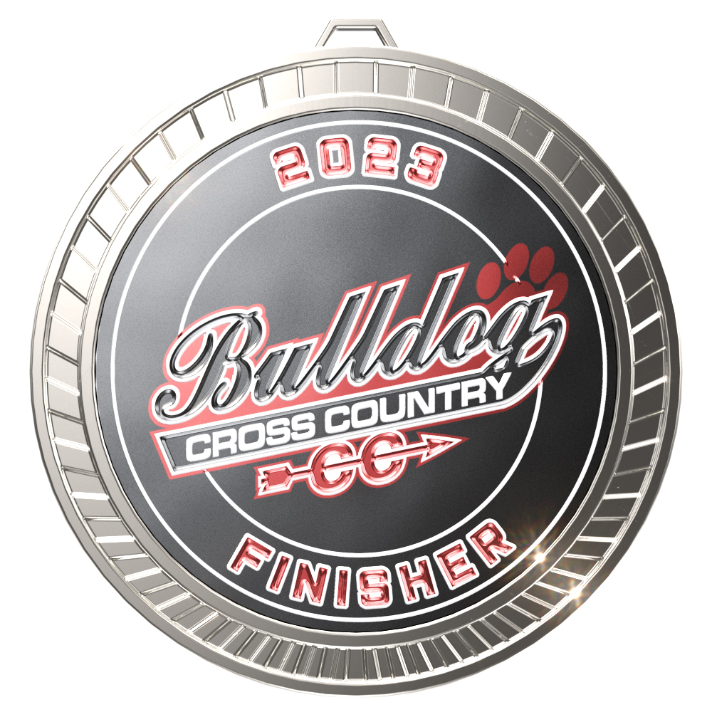 Express Vibraprint™ Insert Medal (2-1/2") 4