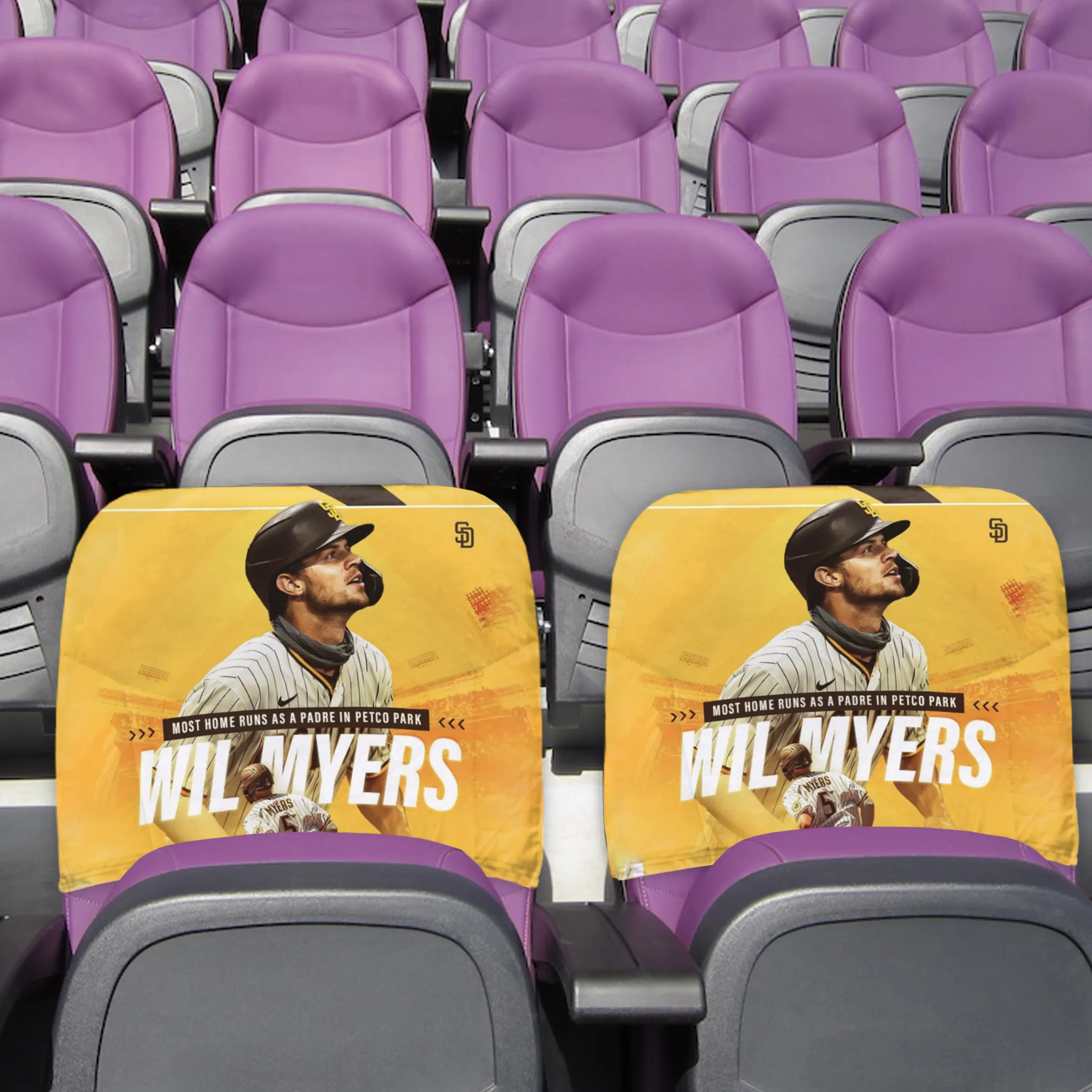 20" x 18" Custom Stadium Chair Back Cover - Double sided 2