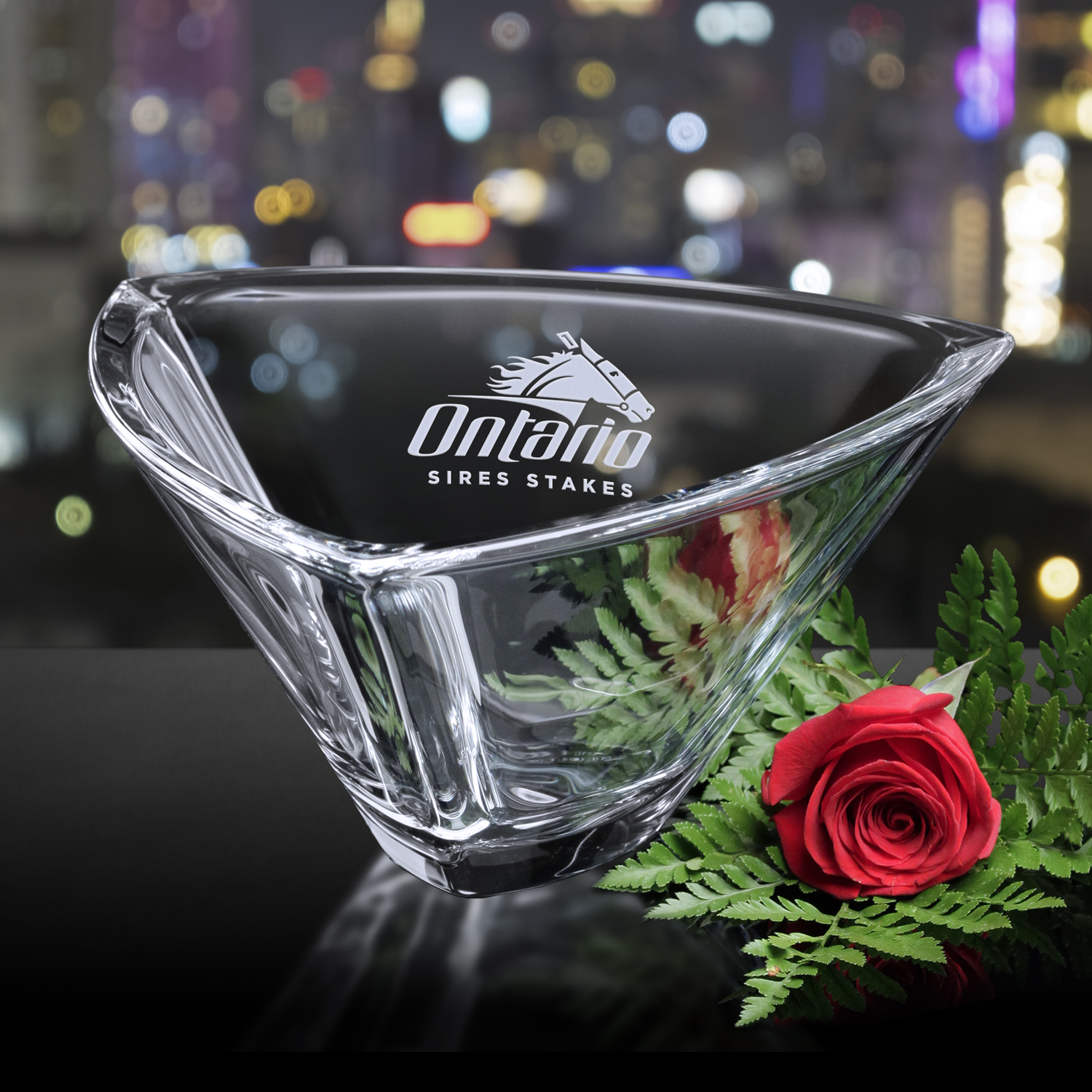 Elena Bowl 4