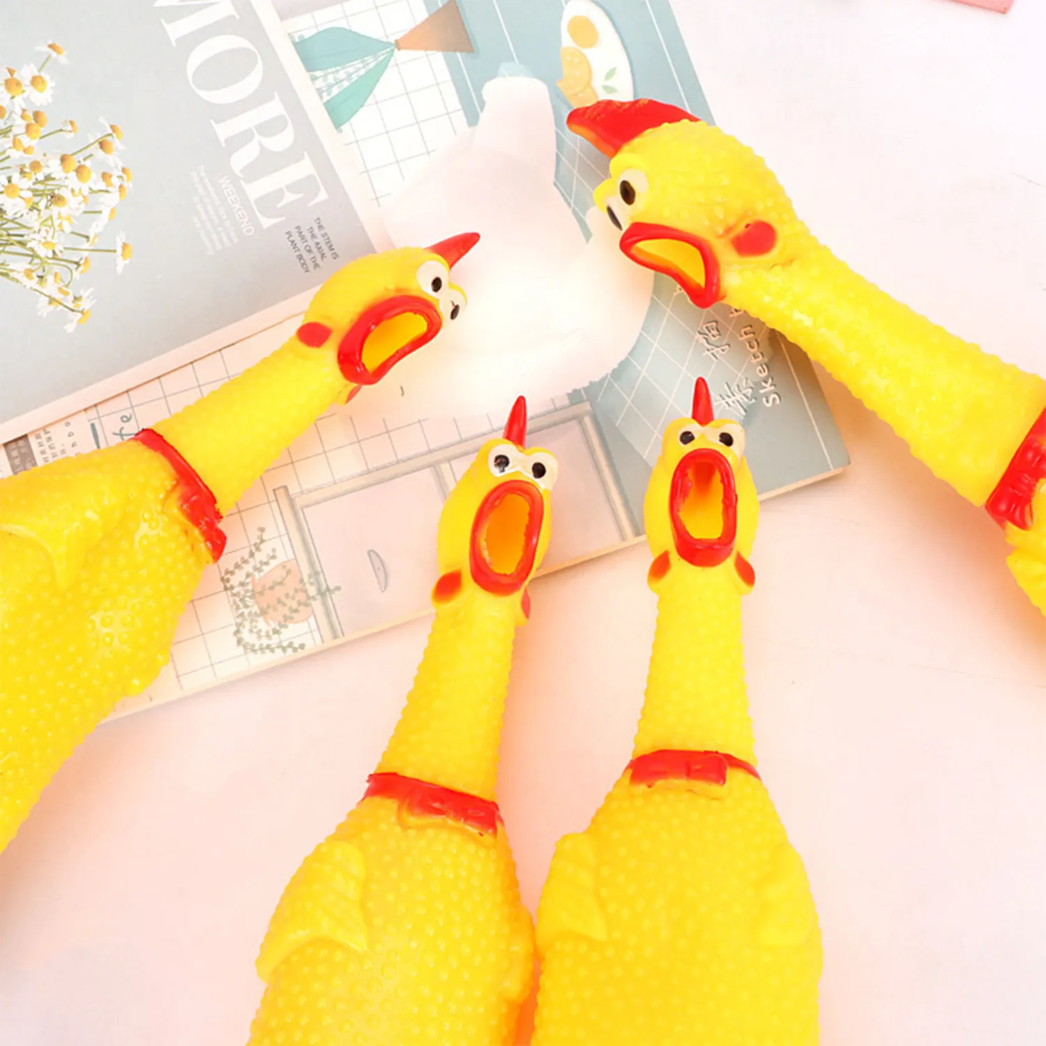 31cm medium screaming chicken 5