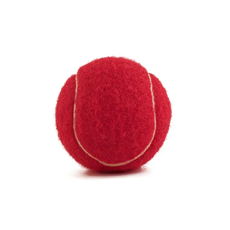 Dog Ball Training Tennis Ball 6