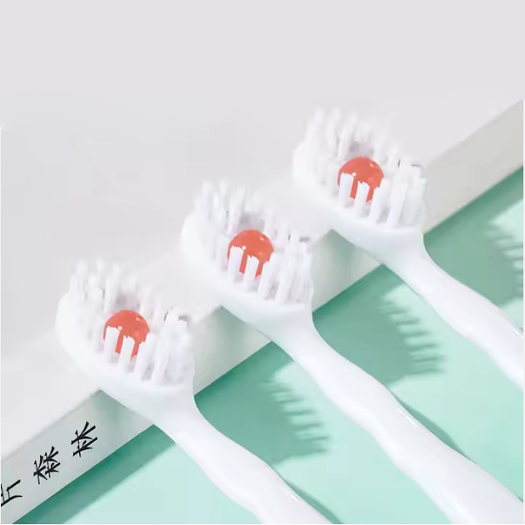 Disposable Toothbrush with Toothpaste 1