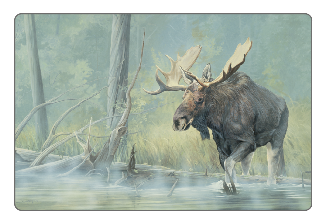 Triumph® Calendars Wildlife Art Pocket Calendar 21