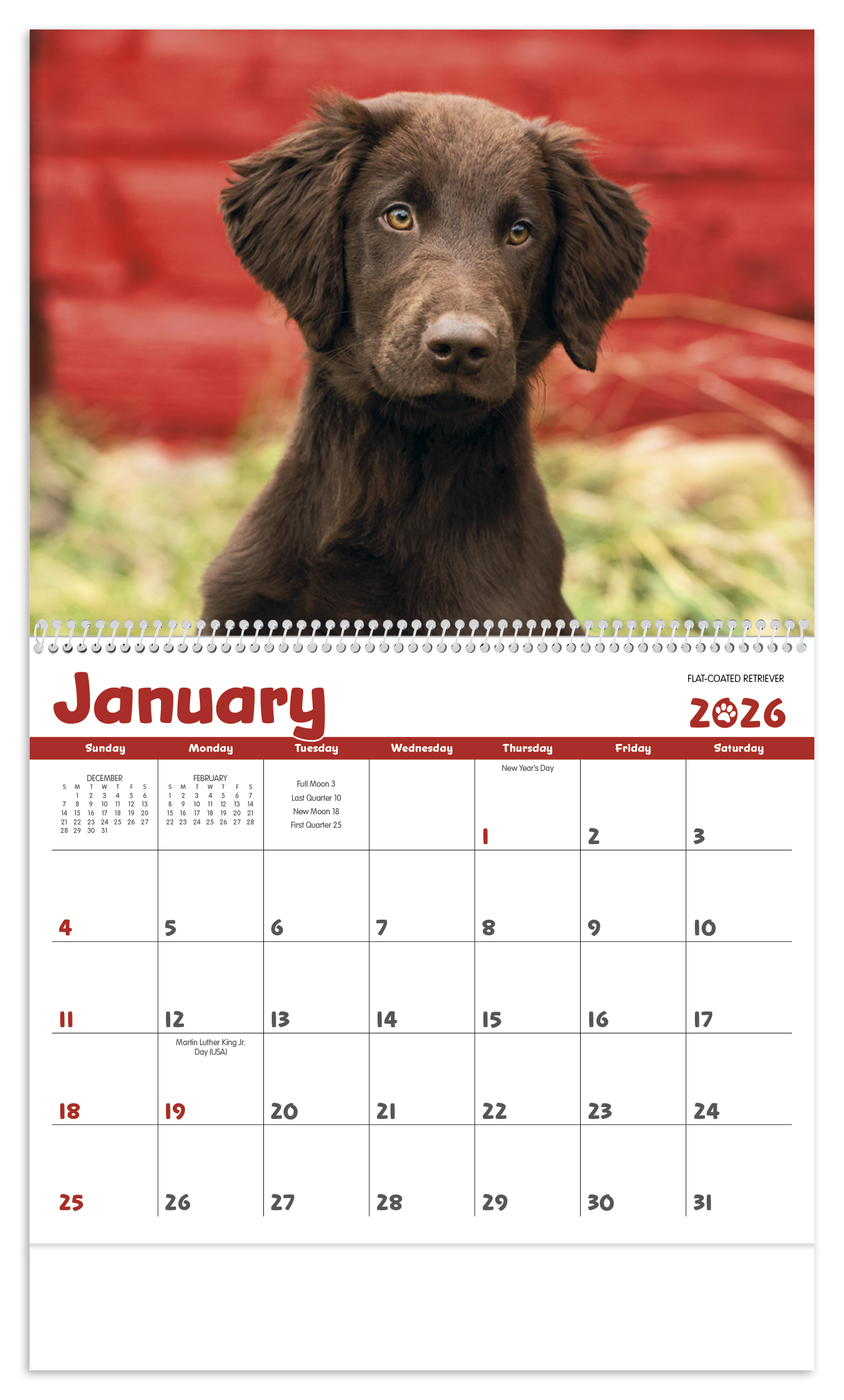 Triumph® Calendars Puppies Calendar 18