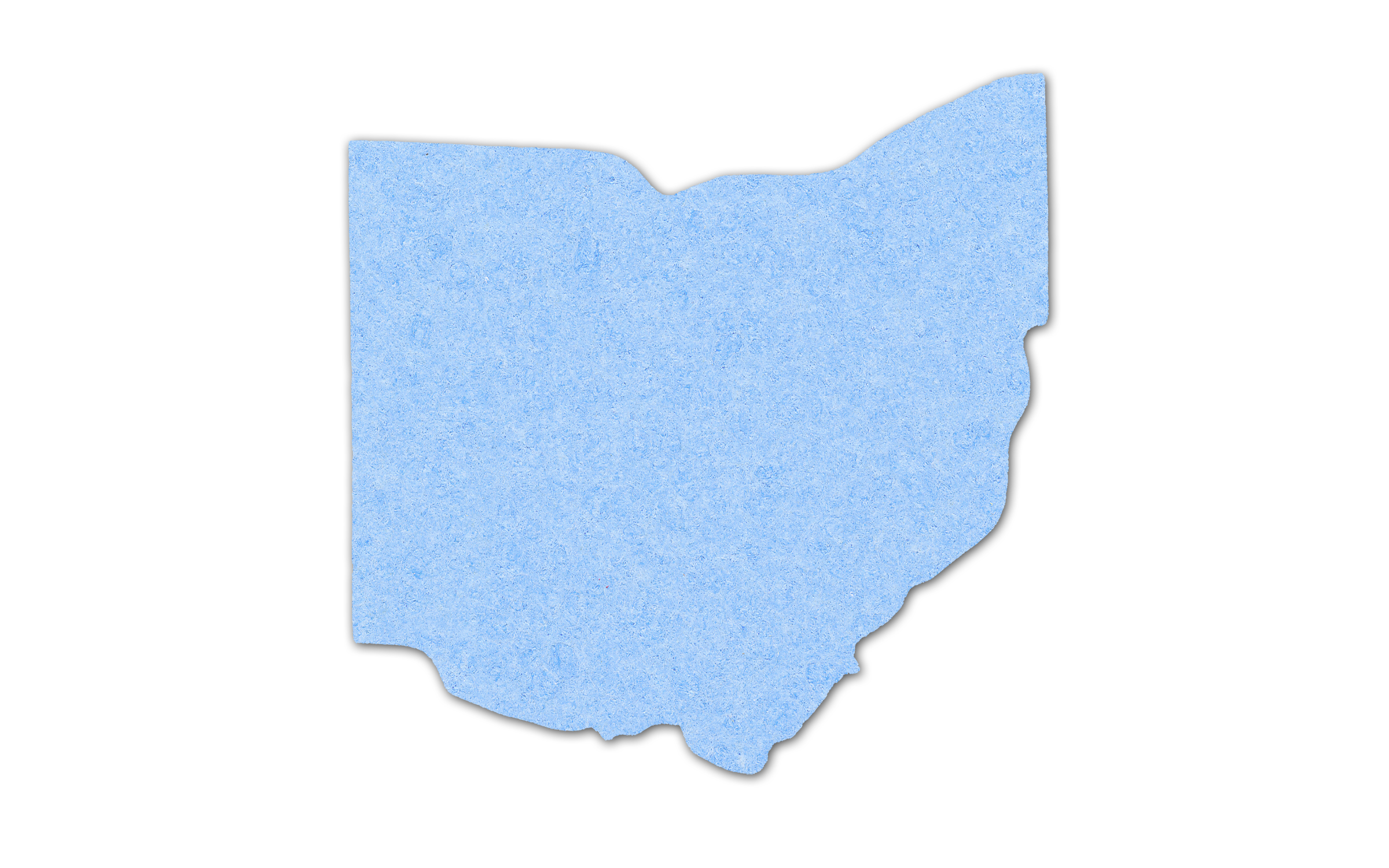 Ohio Compressed Sponge 6