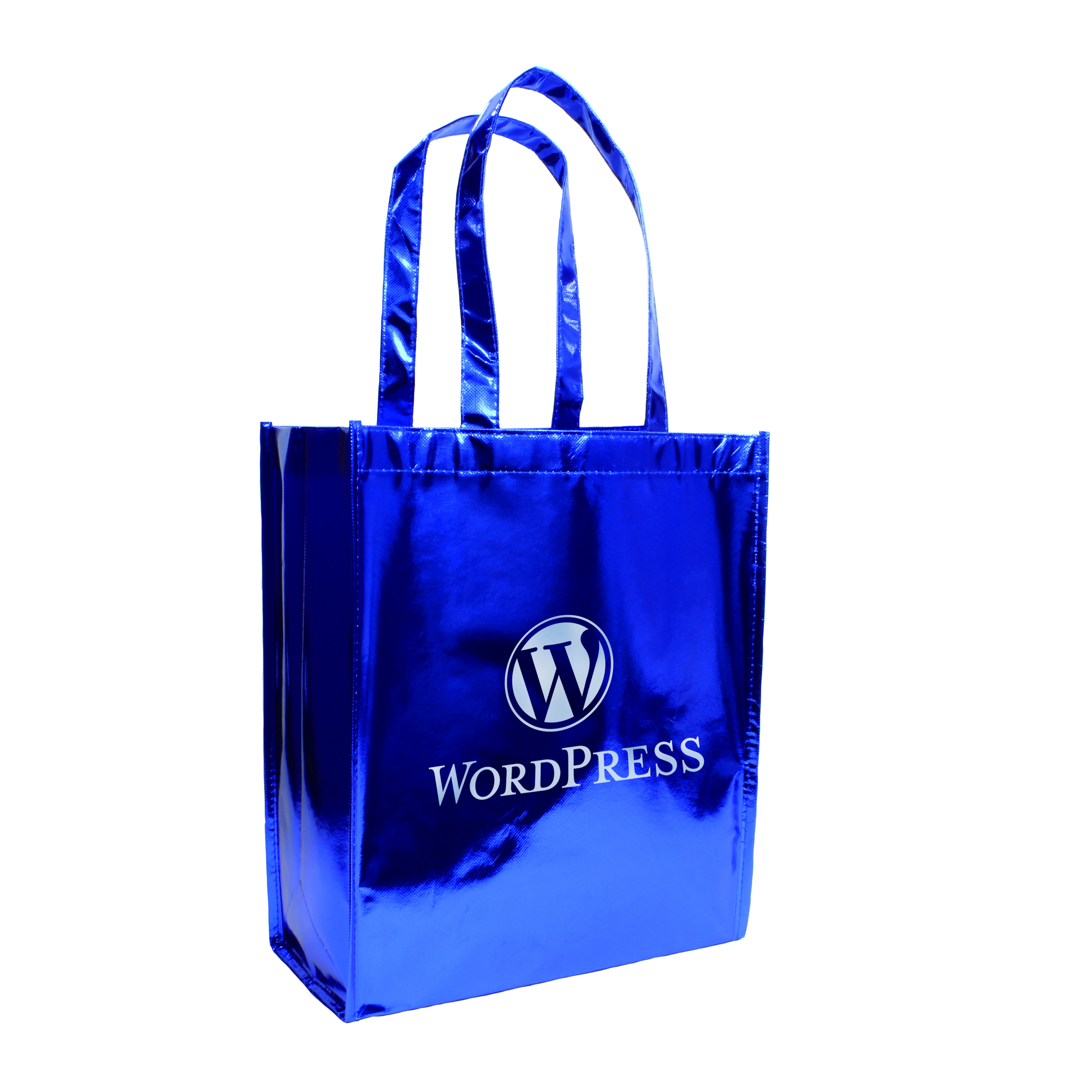 Metallic Tote 2