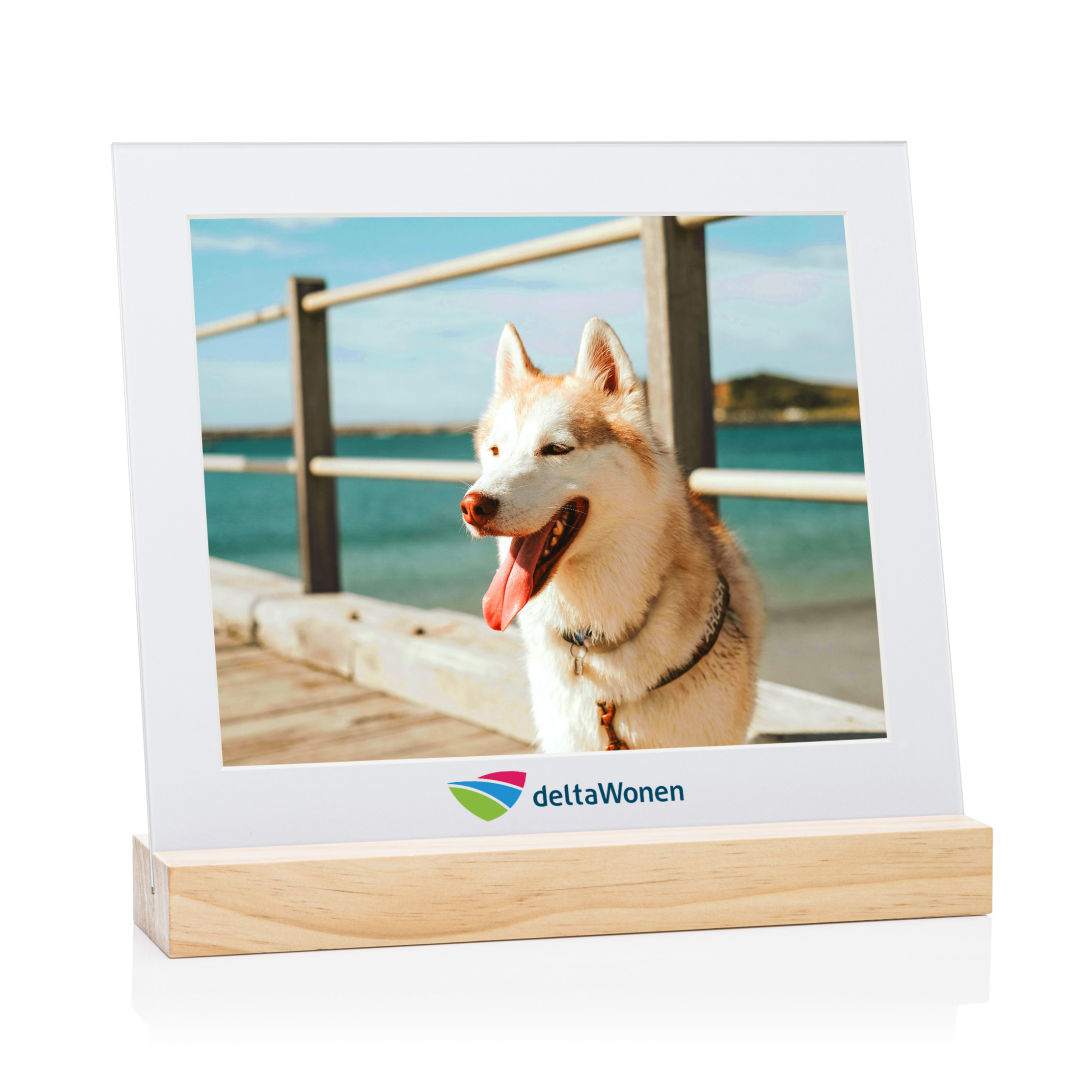 Bassan VividPrint™ Frame