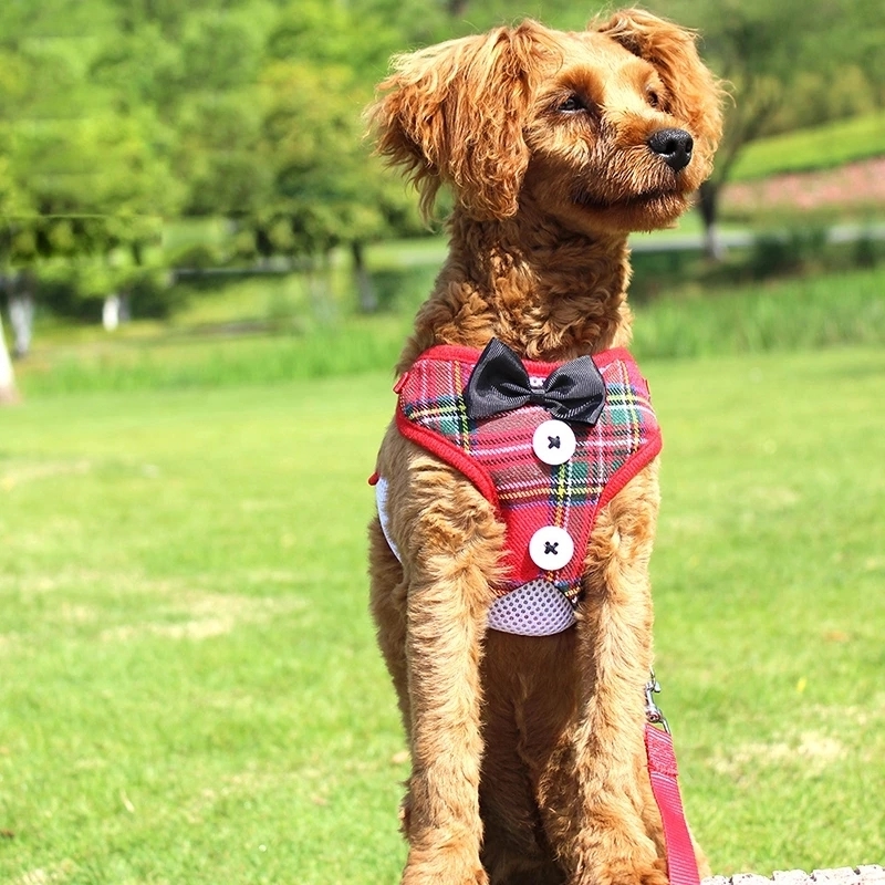 Elegant Bow Dog Collars Necktie Traction Rope Adjustable 3