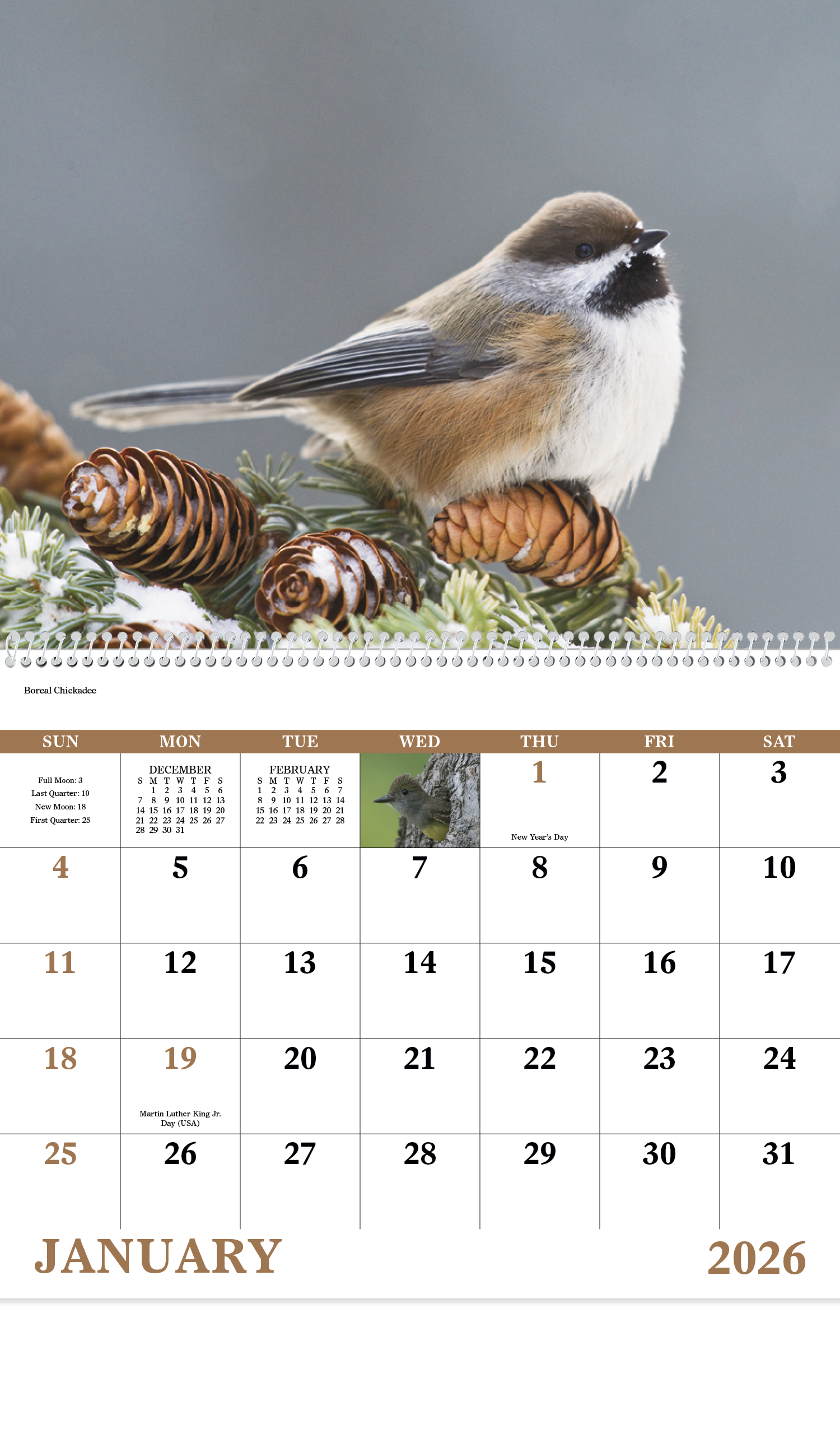 Good Value™ Birds of North America - Spiral Calendar 23