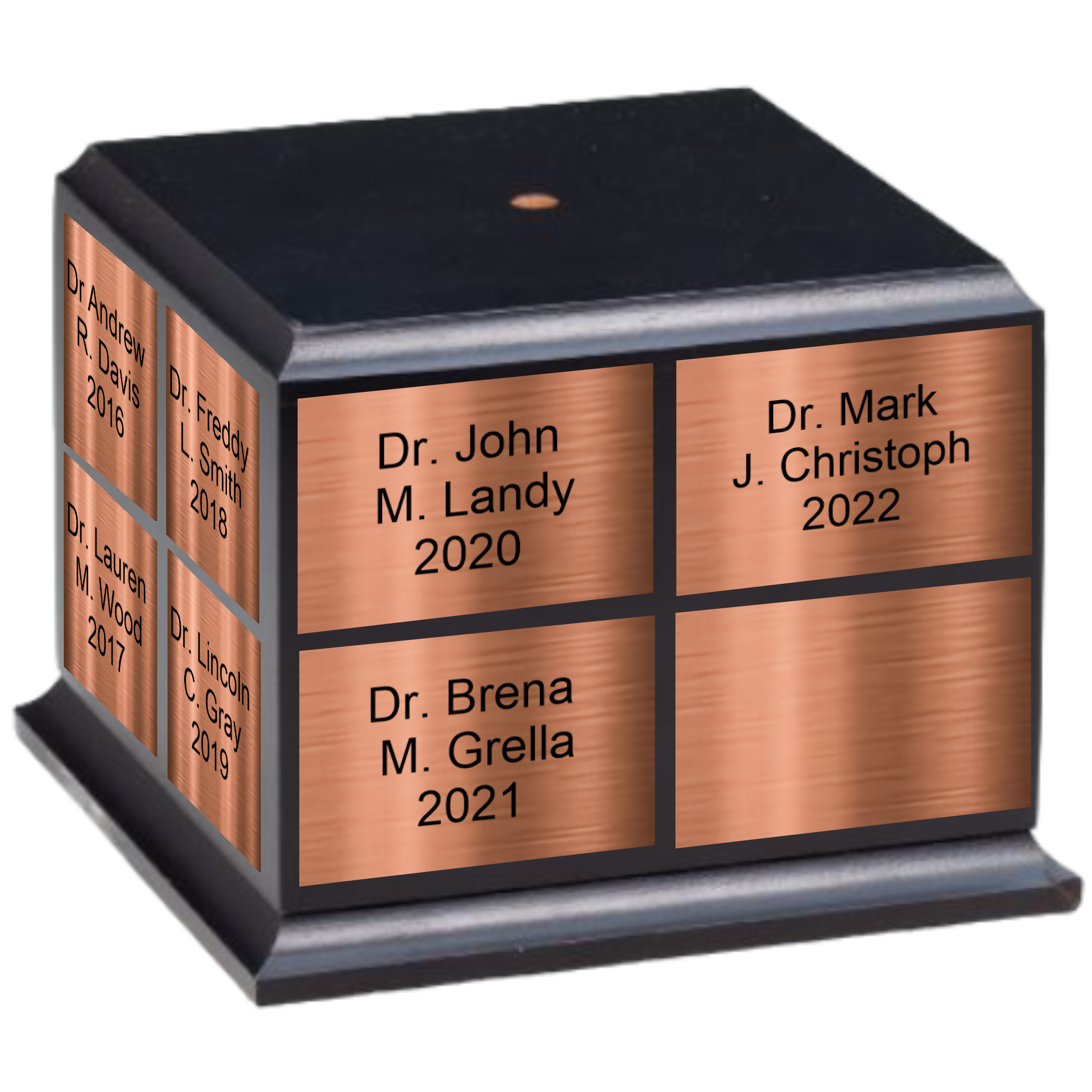 11 1/2" Premium Gallery Sculpture Bronze American Hero M.D. Doctor Physician Trophy Award 4
