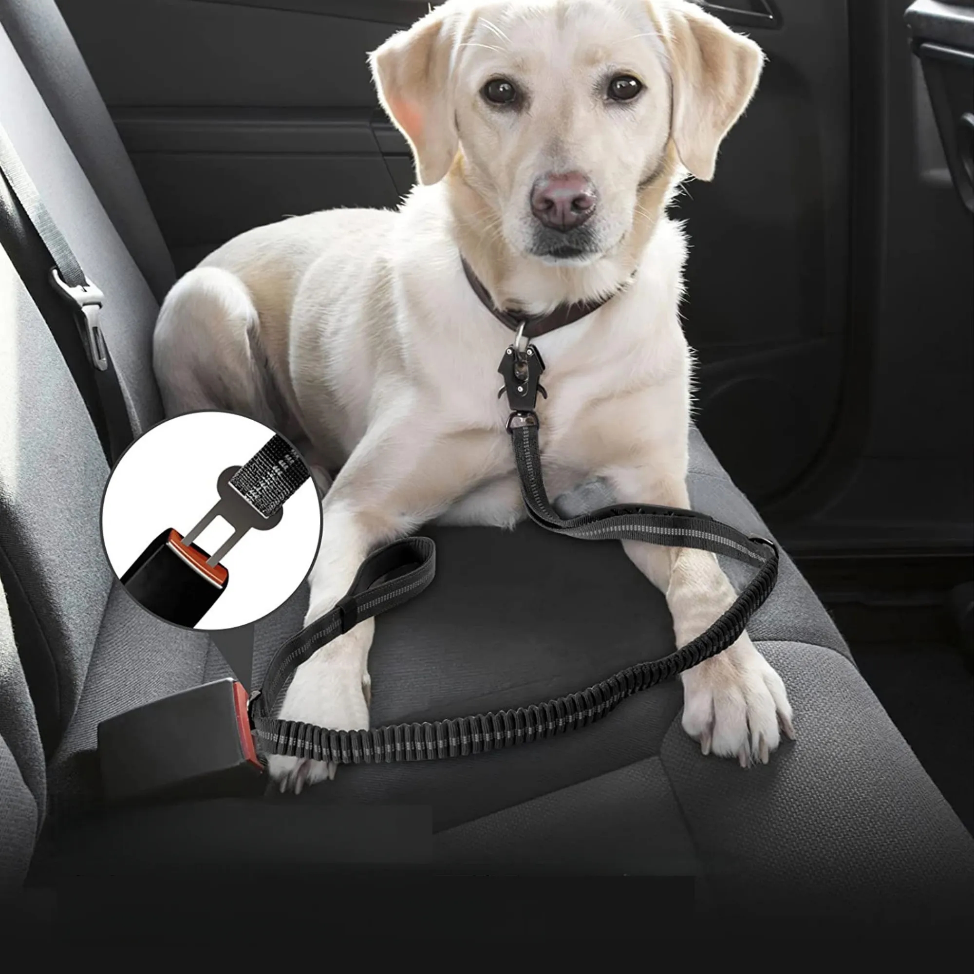 Large dog explosion-proof multi-functional tactical leash 15