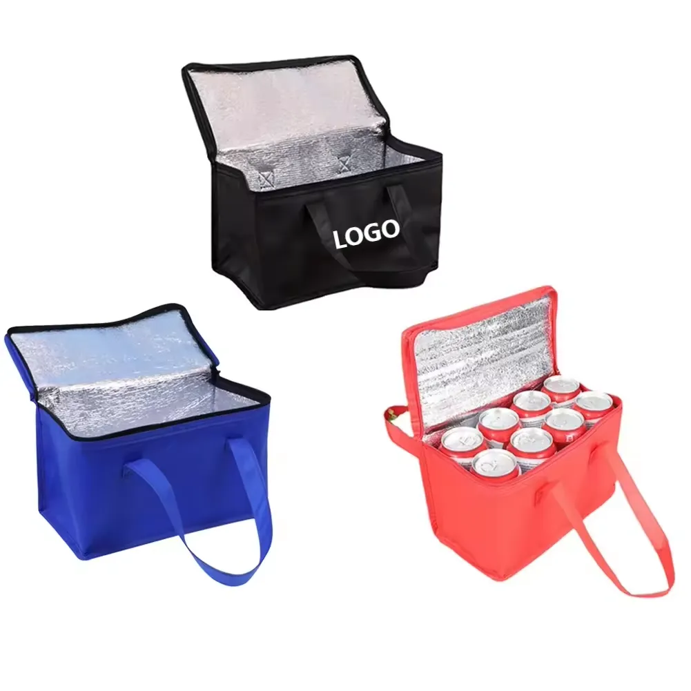 Picnic Insulated Lunch Cooler Bag 2