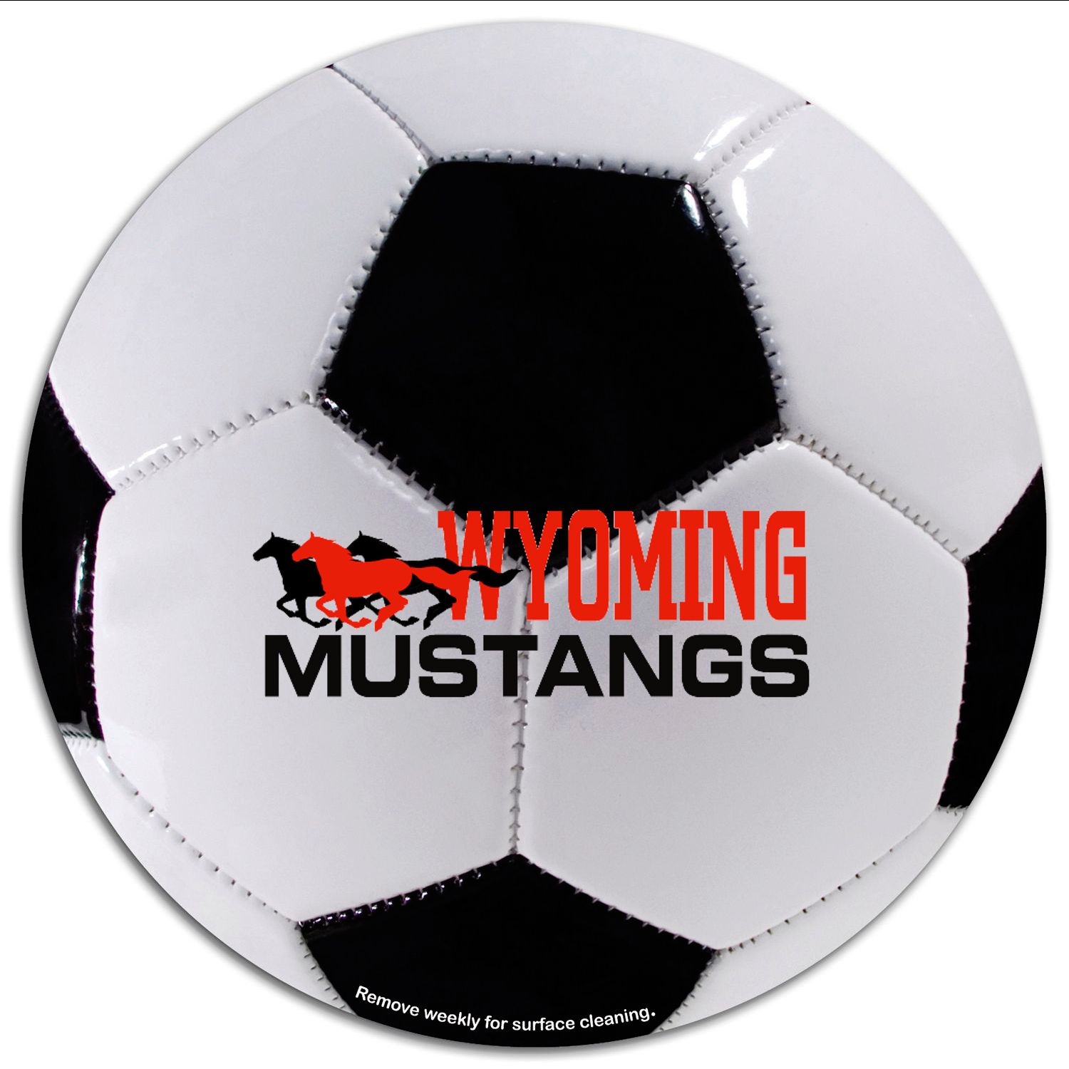 Circle 5-3/4 Diameter Car Sign Magnet 4