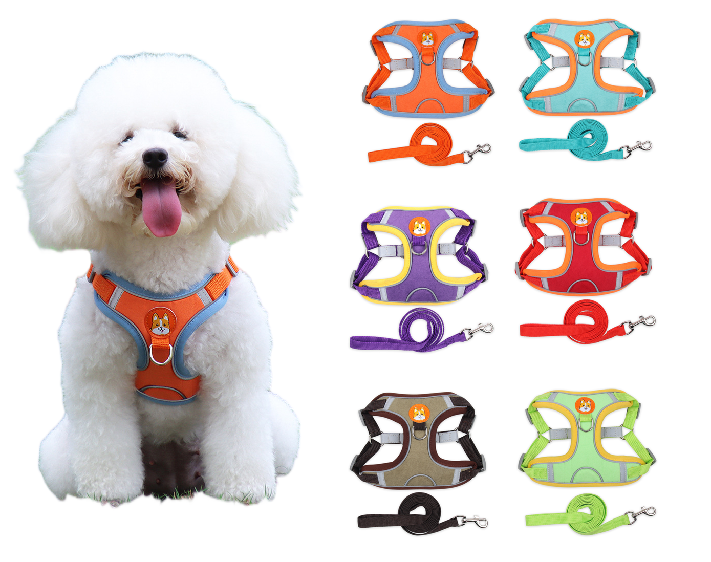 Pet Leashes and Collars 14