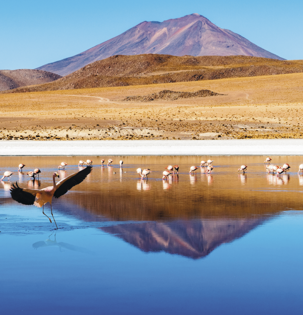 Triumph® Calendars World Scenic Calendar 54