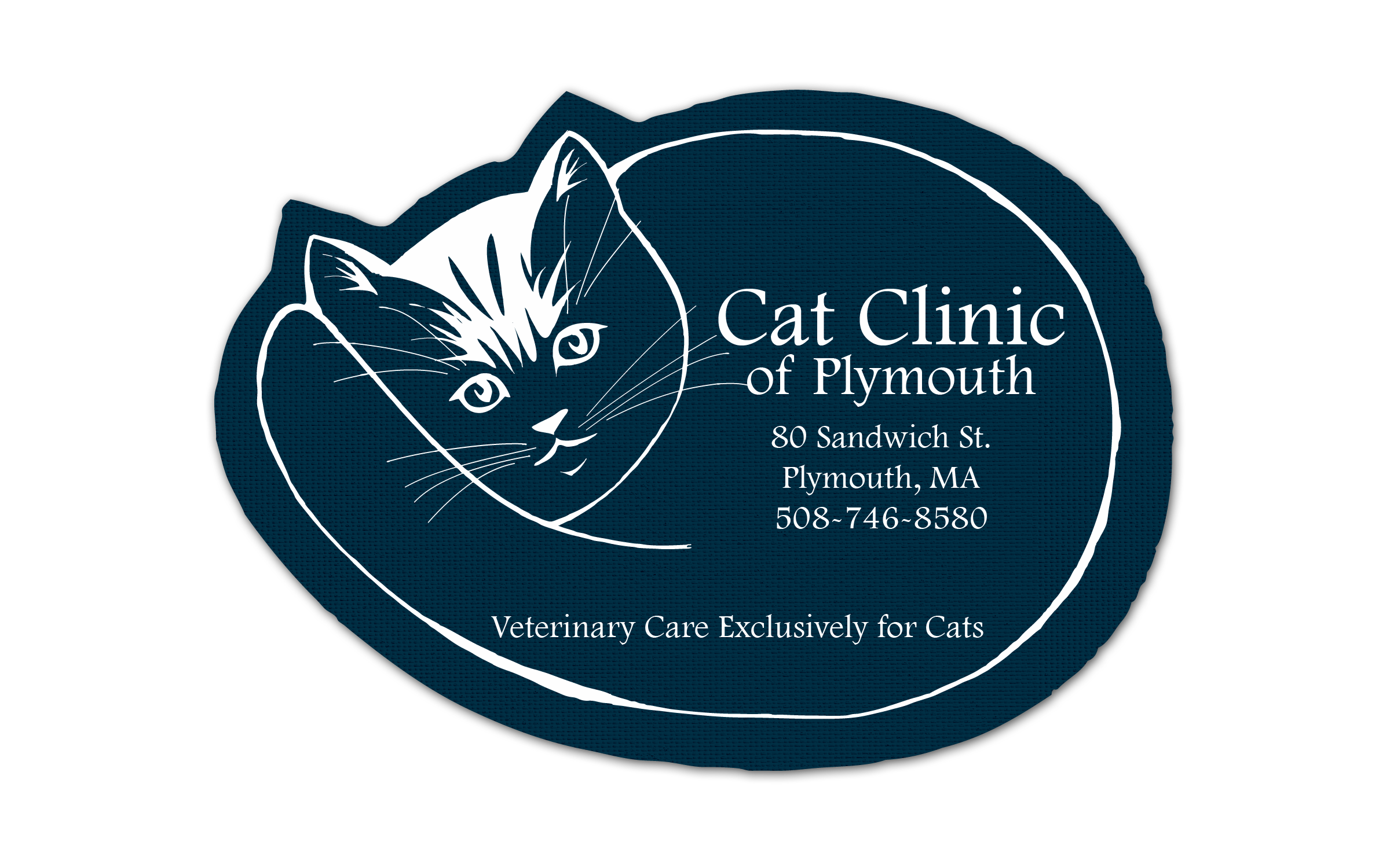 Cat Vinyl Jar Opener 78