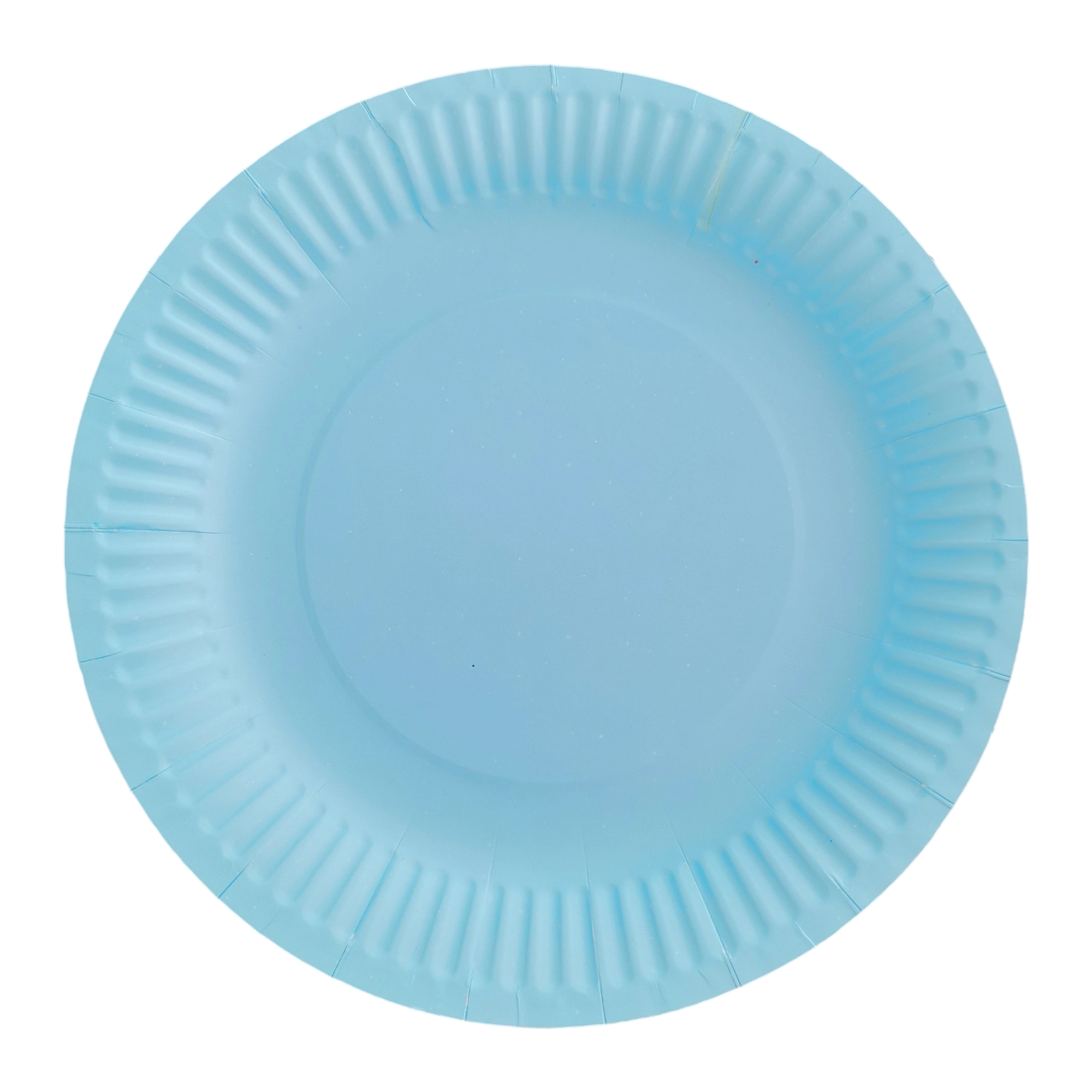 Nine Inch Party Paper Plate Food Safe Disposable 3